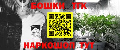 крисы Коммунар
