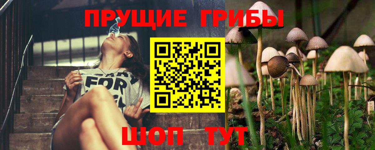 Галлюциногенные грибы мухоморы  Вход с VPN  купить закладку  Котлас  Псилоцибиновые грибы Psilocybe 